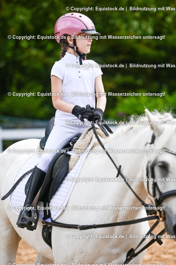 20230716_11_Führzügel-WB_0163 | equistock