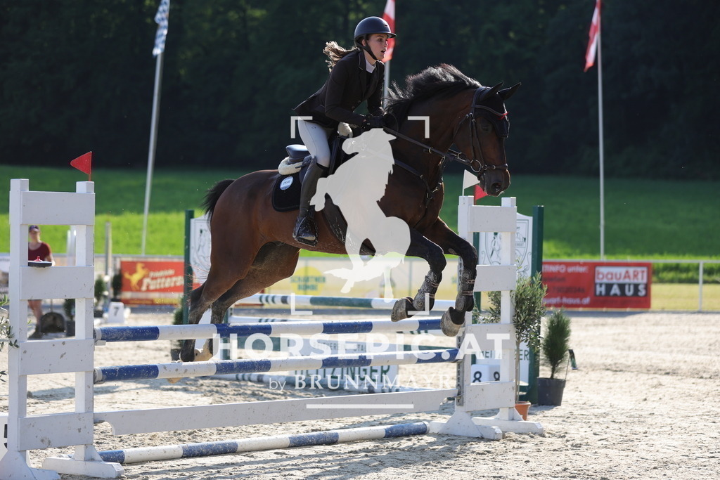 0P6A6645 | Willkommen bei Brunnmayr - Design & Fotografie – Ihrem Spezialisten für Reitturniere und Pferdeveranstaltungen in Oberösterreich, Salzburg und Bayern! Seit über 17 Jahren sind wir leidenschaftlich dabei.