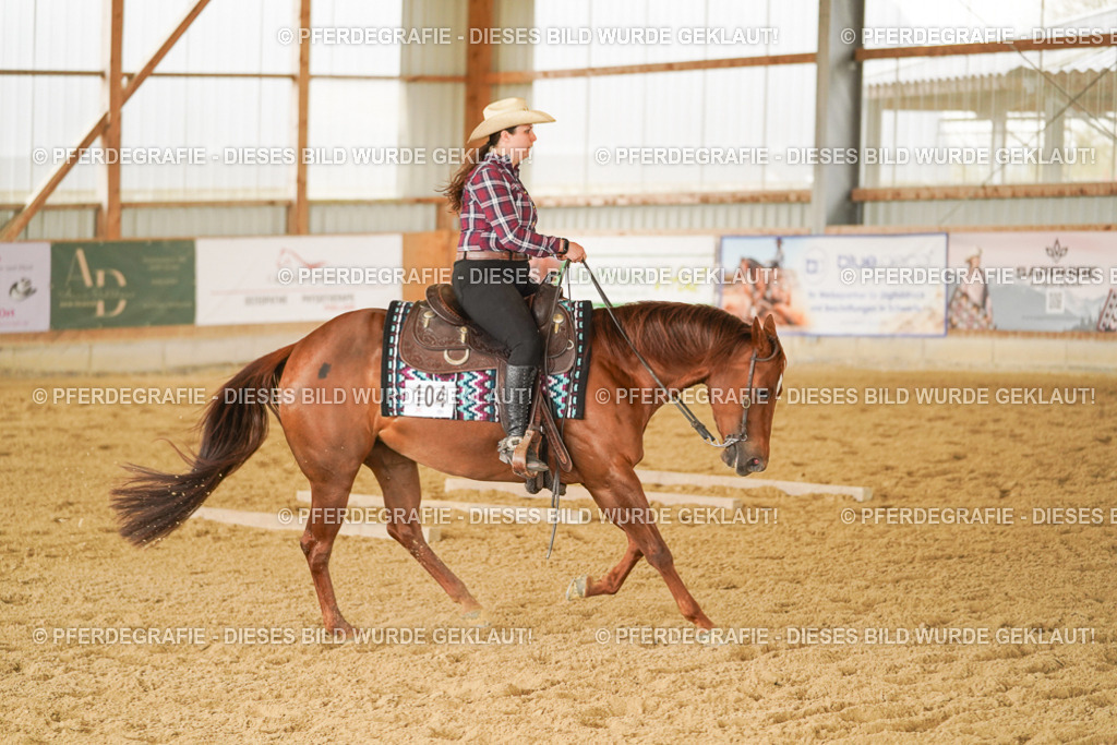 DSC03975 | Pferdegrafie