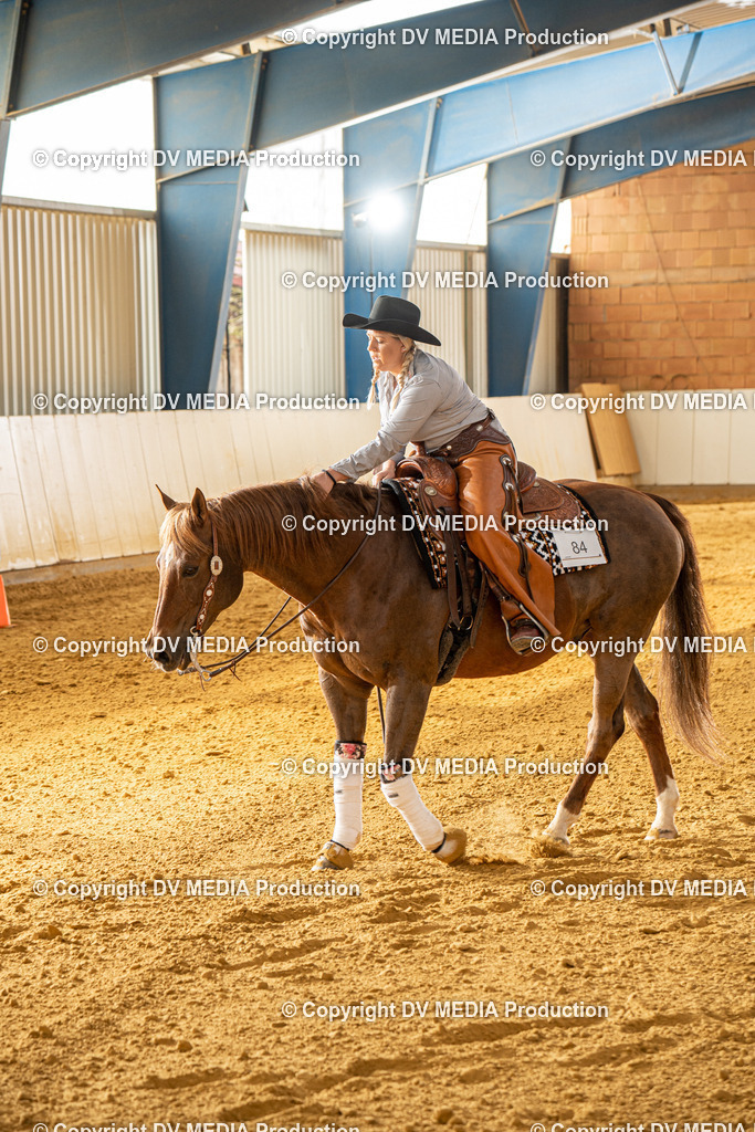 MIT00718 | dv-media-shop - Realisiert mit Pictrs.com