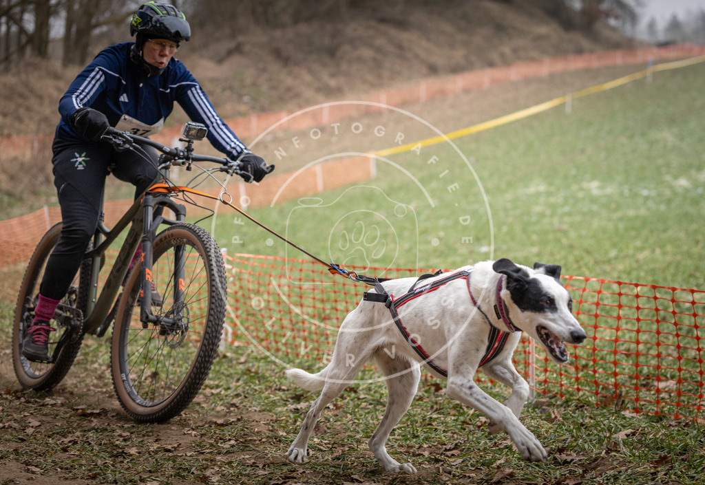 Pfotenfotografie_DV3A5176 | Hundefotografie, Tierfotograf, Pfotenfotografie, Fotoshooting Hund, Hunde Portrait, Hundesport, Hundeportraits, Heideshooting, Hunde, Sportfotograf, Hundefotograf, Turnierhundsport, THS,  - Realisiert mit Pictrs.com