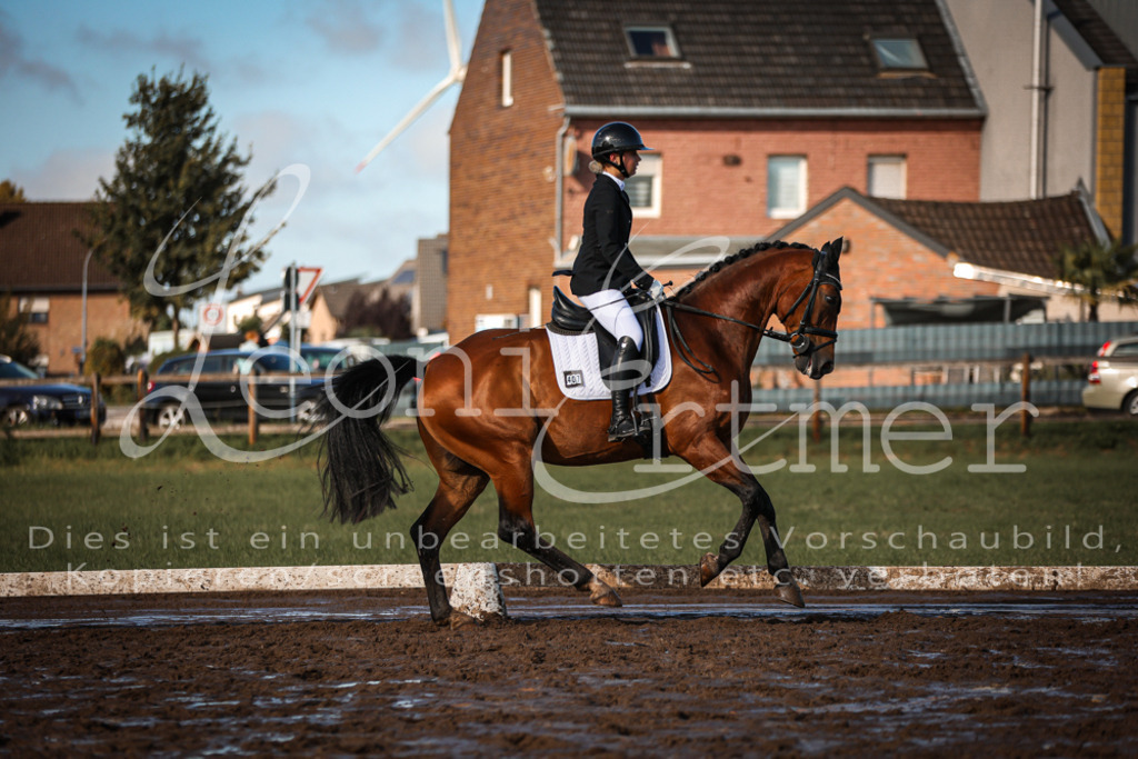 13.SoDrA100397 | Leoni Ertmer Photography - Realisiert mit Pictrs.com