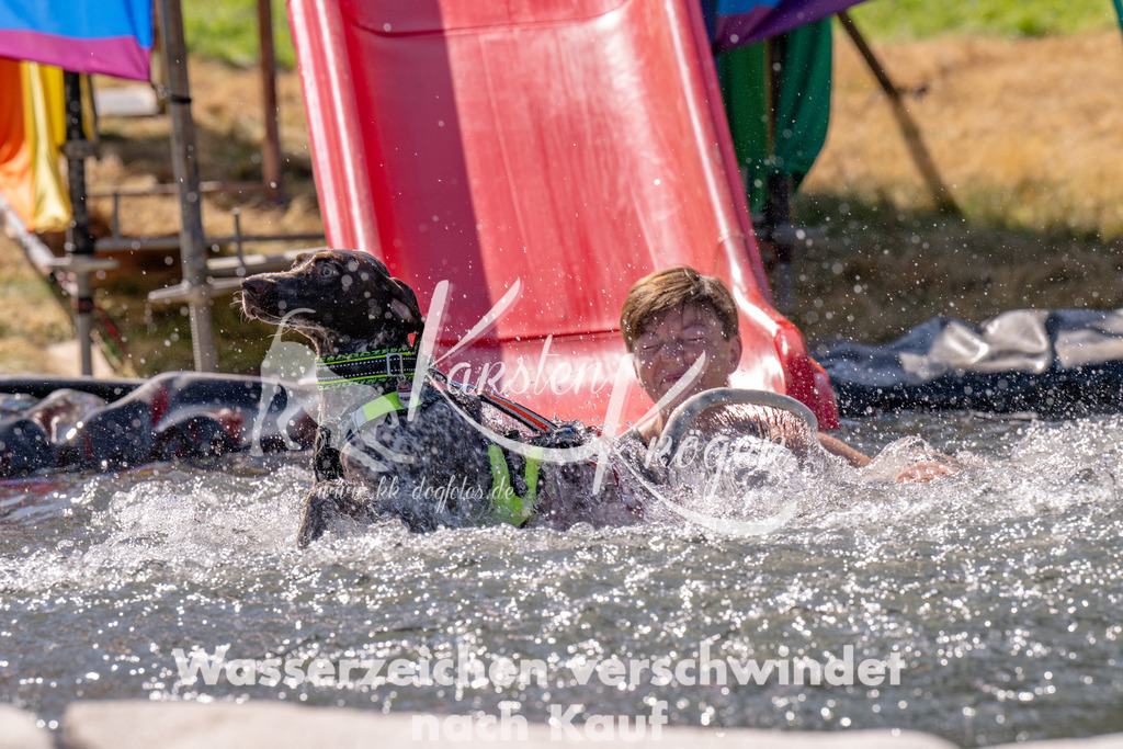 1218_ZZ91544 | kk-dogfotos