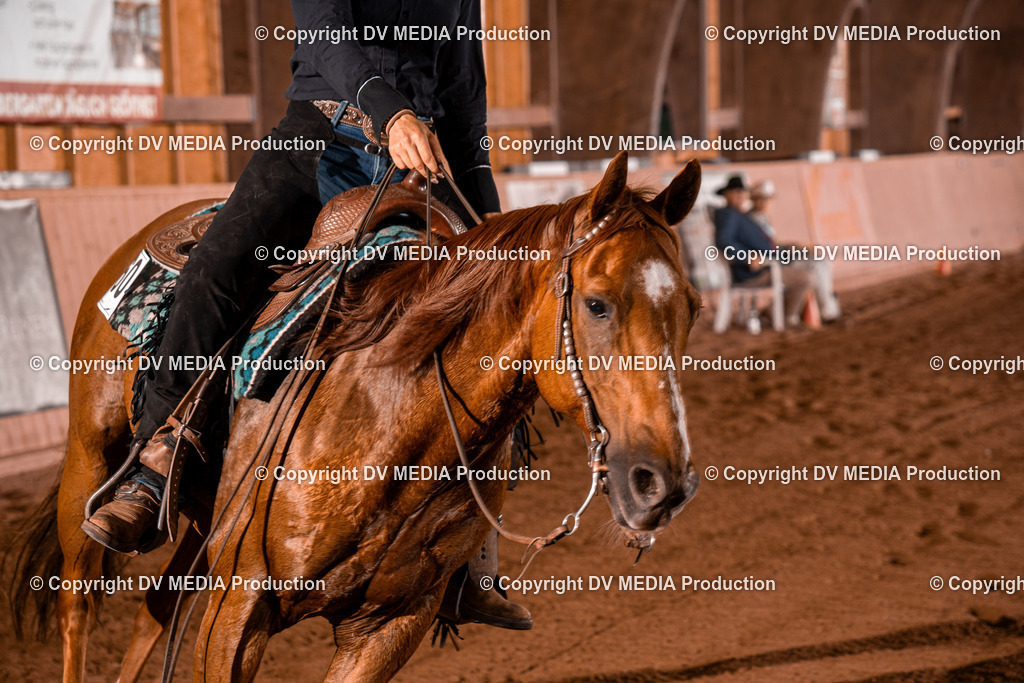 NE201469 | dv-media-shop - Realisiert mit Pictrs.com