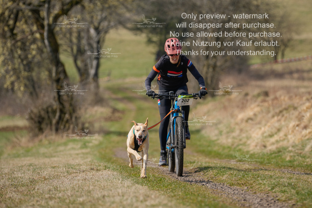 Bike_Lang-191 | stephaniefillaphotographie - Realisiert mit Pictrs.com