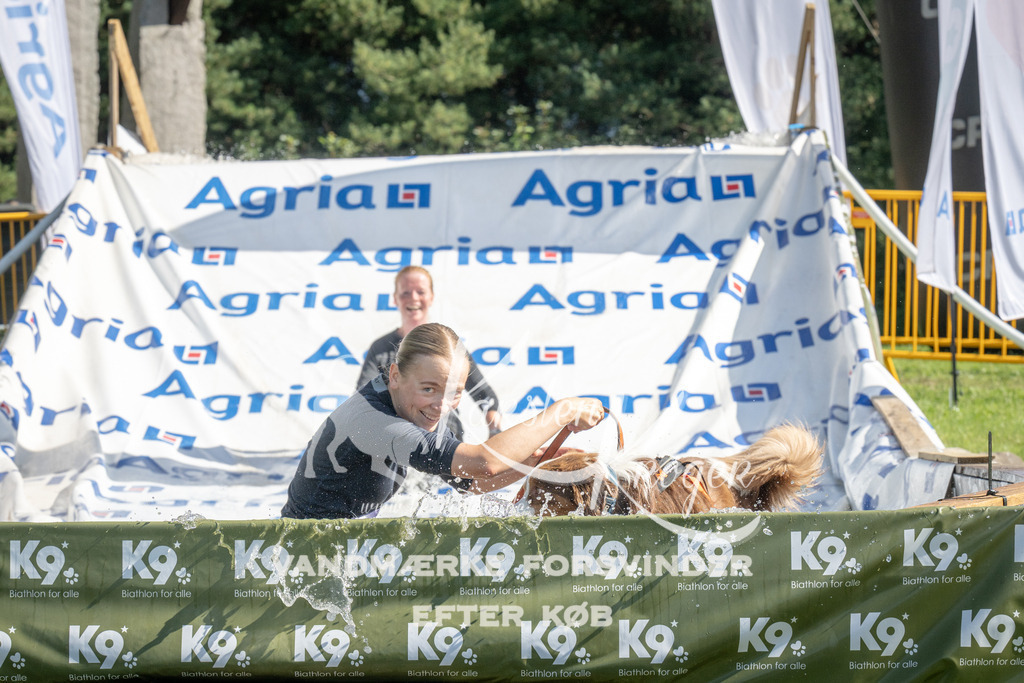 1047_ZZ99557 | kk-dogfotos