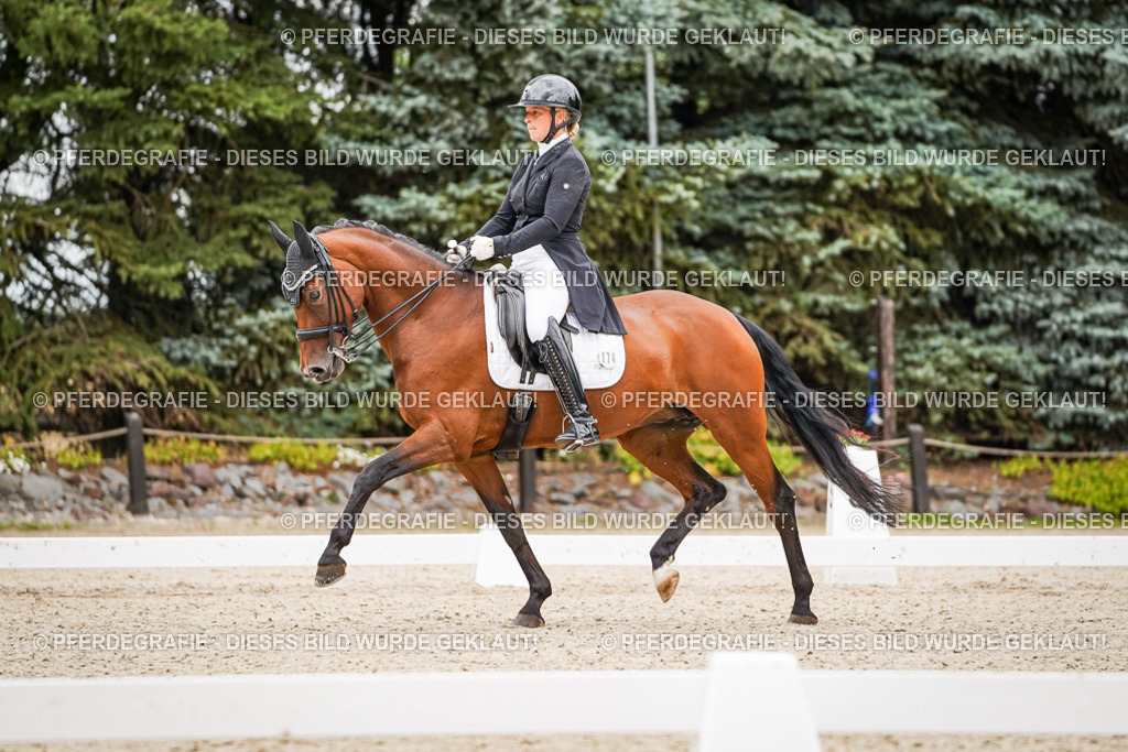 DSC07203 | Pferdegrafie