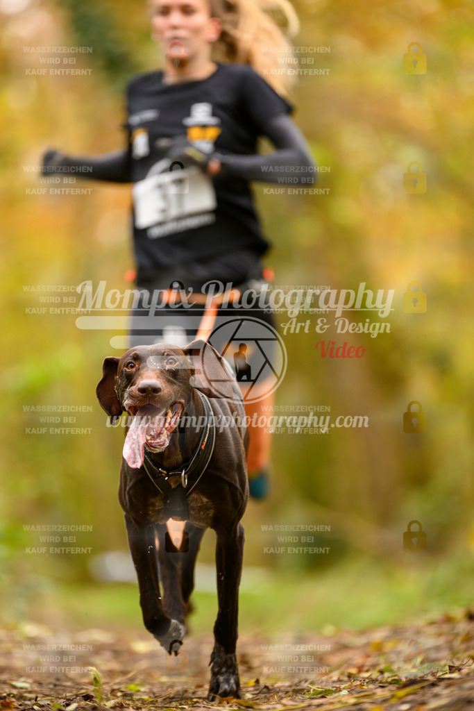 MompixPhotography_Bischwiller24_SA_Canicross-22 | PayLife