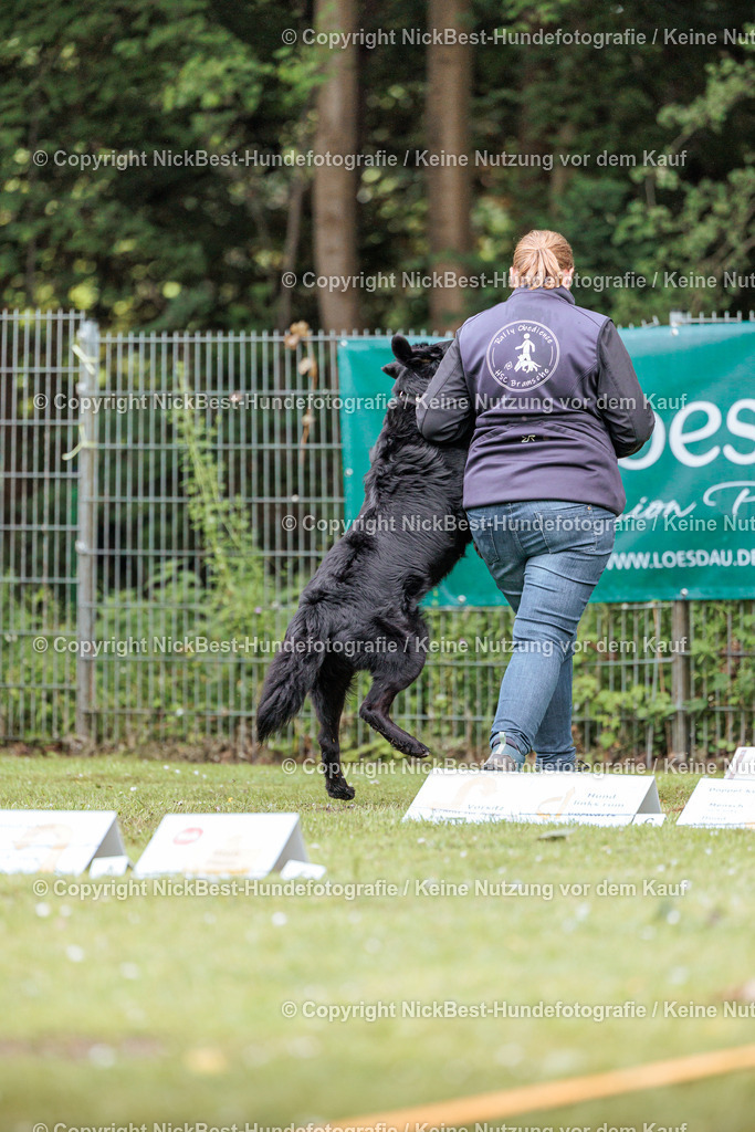 RO-Blumenthal-2026-Nickbest-Hundefotografie-4600 | Dein Hund! Dein Moment! Deine Erinnerungen! Hundefotografie in Bremen Blumenthal. Ich fange die besonderen Momente deines Vierbeiners ein – ob Indoor mit Blitzanlage oder in der freien Natur. Sicher dir dein Moment und dein Termin für eure Erinnerungen.