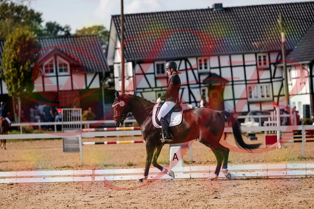 2026_10_03_Siefer-Hof_132126_Z63_82740530 | Professionelle Reitsport-, Turnier- und Eventfotografie von Robert Broda. Galerien mit ausgewählten und bearbeiteten Bildern direkt online ansehen und bestellen.