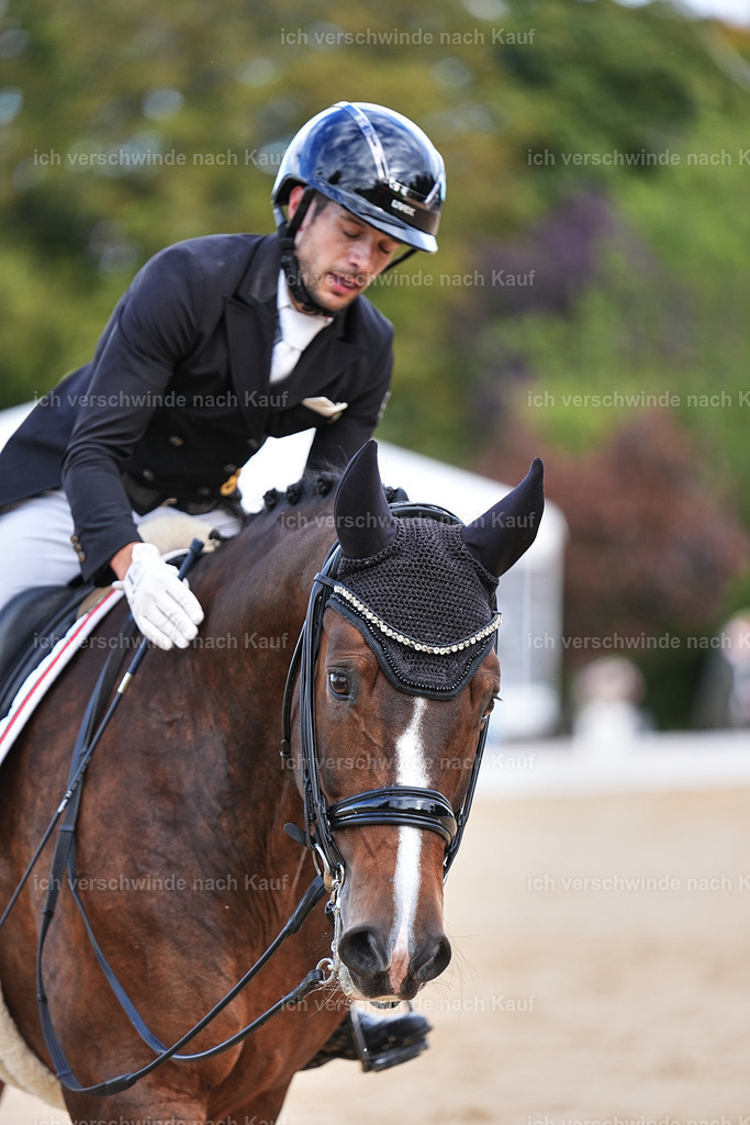 10-207-ST.GEORG SPECIAL -Marixx-3400 | working equitationturnier fotograf videograf stoibphotography marixx film working equitation deutschland reitsport turnierfotografie eventfotografie equestrian events