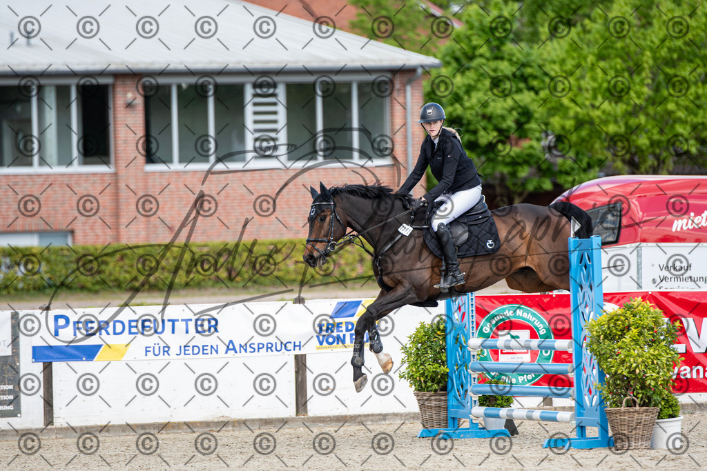 KPT_5020 | andre_photographic