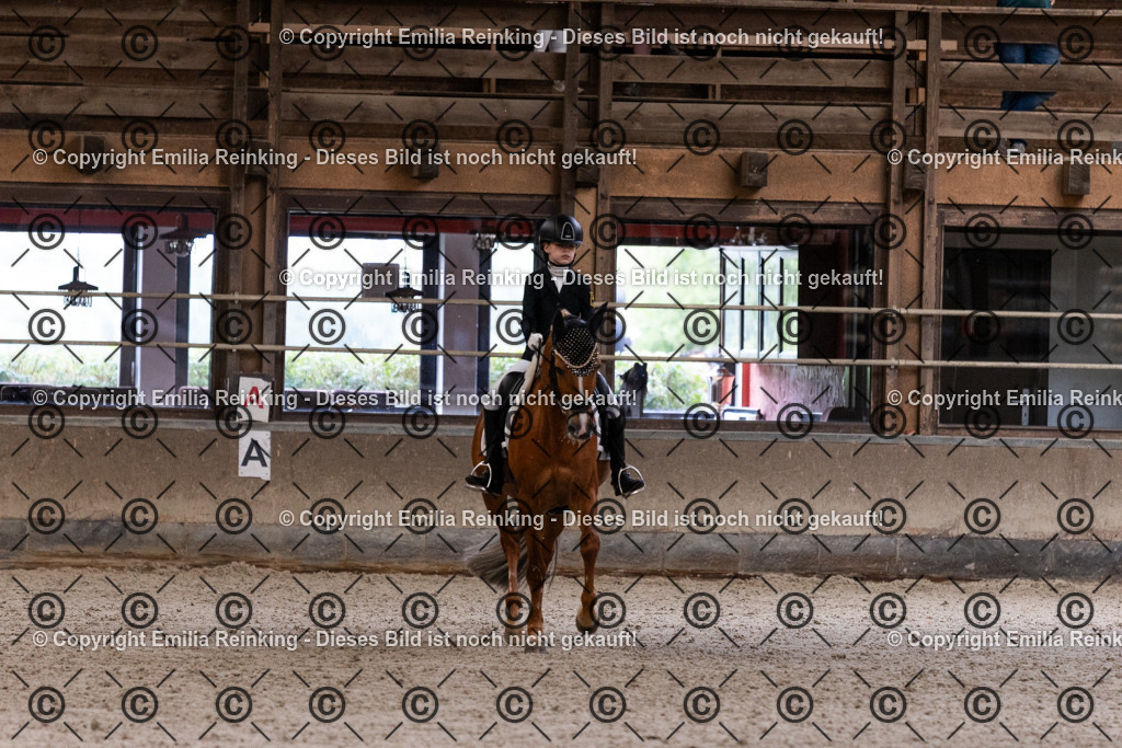 CL5A5395 | Emilia Reinking Fotografie - Realisiert mit Pictrs.com