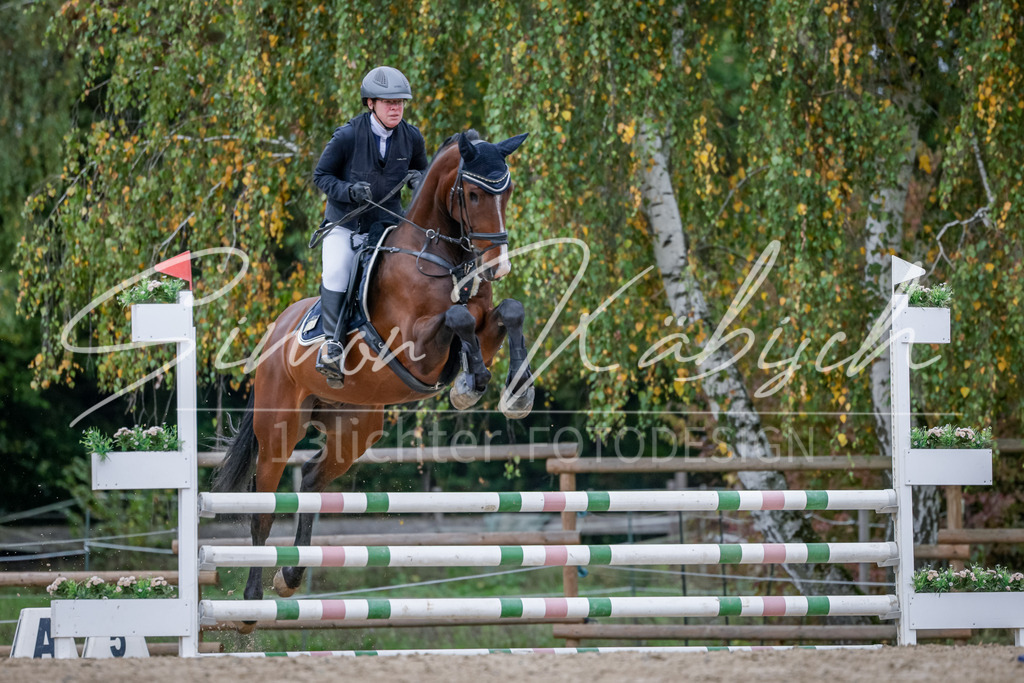 20251012-_3LI3627 | Tierfotografie Pferde, Hunde, Katzen, Haustiere.
Turnierfotografie Reitturniere, Reiten, Springreiten, Dressur in Hanau, dem Main-Kinzig-Kreis und dem Rhein-Main- Gebiet um Frankfurt