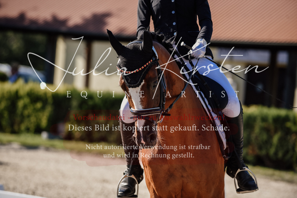 DSC_0334 | Pferde- und Turnierfotografie in Westsachsen. Pferdeportraits, Auftragszeichnungen und intuitive Kunst.