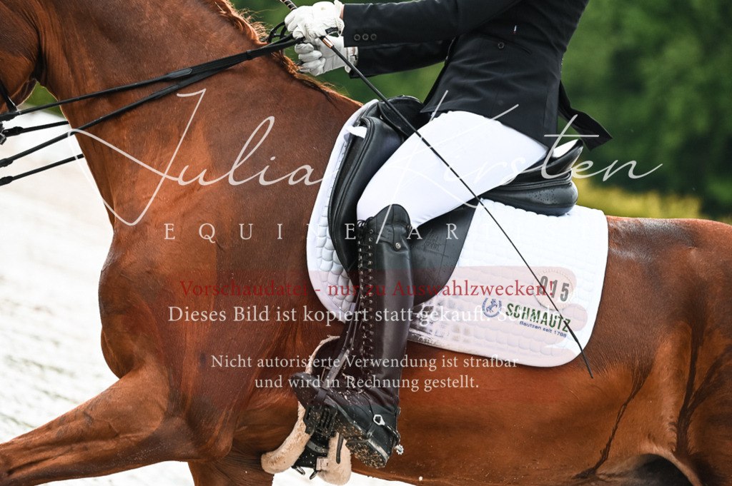DSC_4296 | Pferde- und Turnierfotografie in Westsachsen. Pferdeportraits, Auftragszeichnungen und intuitive Kunst.