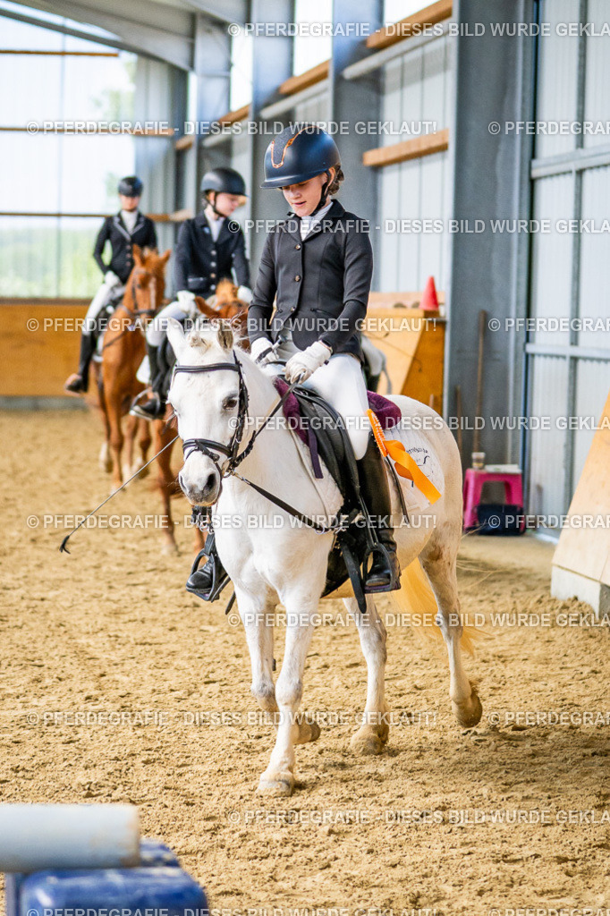 DSC03499 | Pferdegrafie