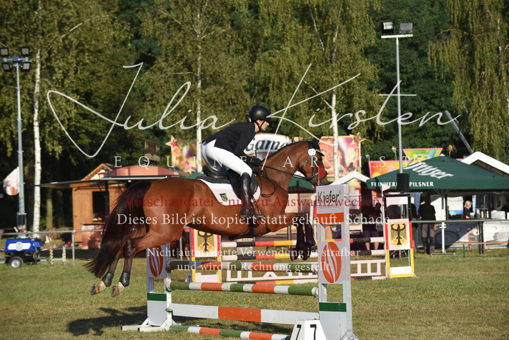 DSC_4870 | Pferde- und Turnierfotografie in Westsachsen. Pferdeportraits, Auftragszeichnungen und intuitive Kunst.