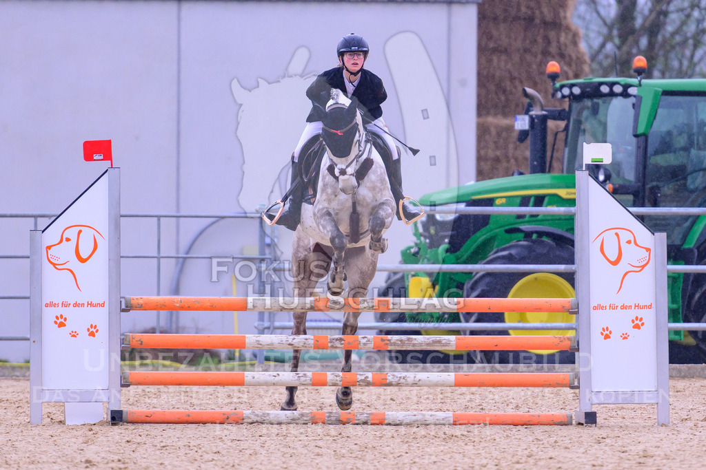 12042026-Mammendorf-Prfg37-0278 | Fokus Hufschlag Fotografie - Realisiert mit Pictrs.com