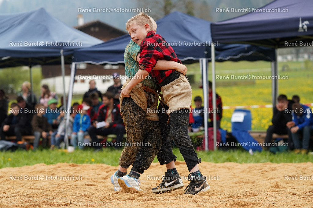20220423-DSC08364 (2) | René Burch leidenschaftlicher Fotograf aus Kerns in Obwalden.  Hier finden sie Sport, Landschaft und Natur Fotografie.
 - Realisiert mit Pictrs.com
