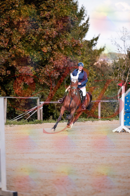 2026_10_03_Siefer-Hof_170336_Z81_00167155 | Professionelle Reitsport-, Turnier- und Eventfotografie von Robert Broda. Galerien mit ausgewählten und bearbeiteten Bildern direkt online ansehen und bestellen.