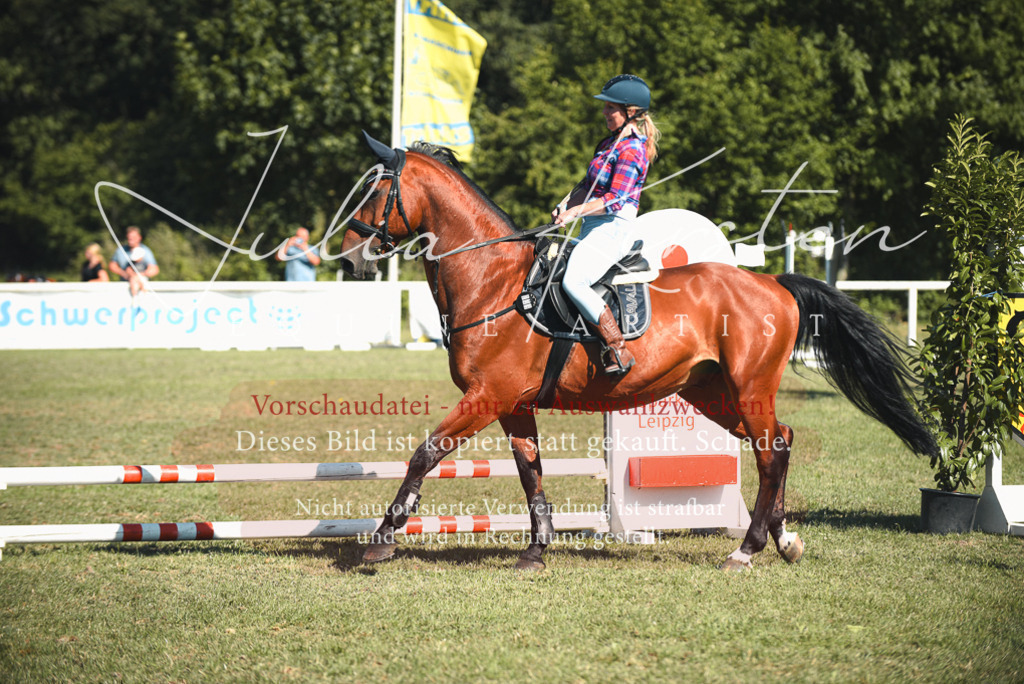 DSC_7762 | Pferde- und Turnierfotografie in Westsachsen. Pferdeportraits, Auftragszeichnungen und intuitive Kunst.