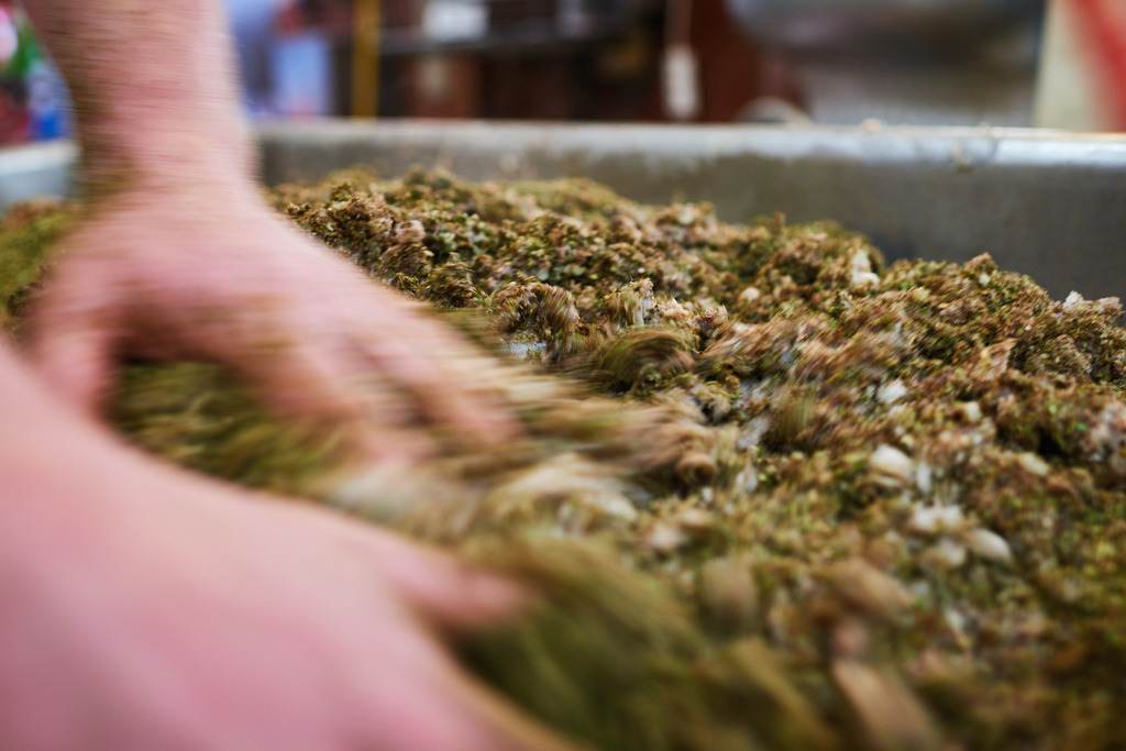 Fleischerei Dormayer | Langenzersdorf, Austria - February 12, 2019: Fleischerei Dormayer - Blutwurst Herstellung; das Gewürz wird mit dem Brät vermengt. - Realisiert mit Pictrs.com