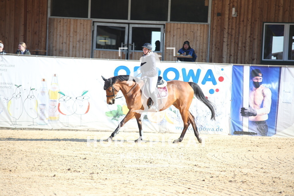 AS8V2850 | Willkommen bei Brunnmayr - Design & Fotografie – Ihrem Spezialisten für Reitturniere und Pferdeveranstaltungen in Oberösterreich, Salzburg und Bayern! Seit über 17 Jahren sind wir leidenschaftlich dabei.