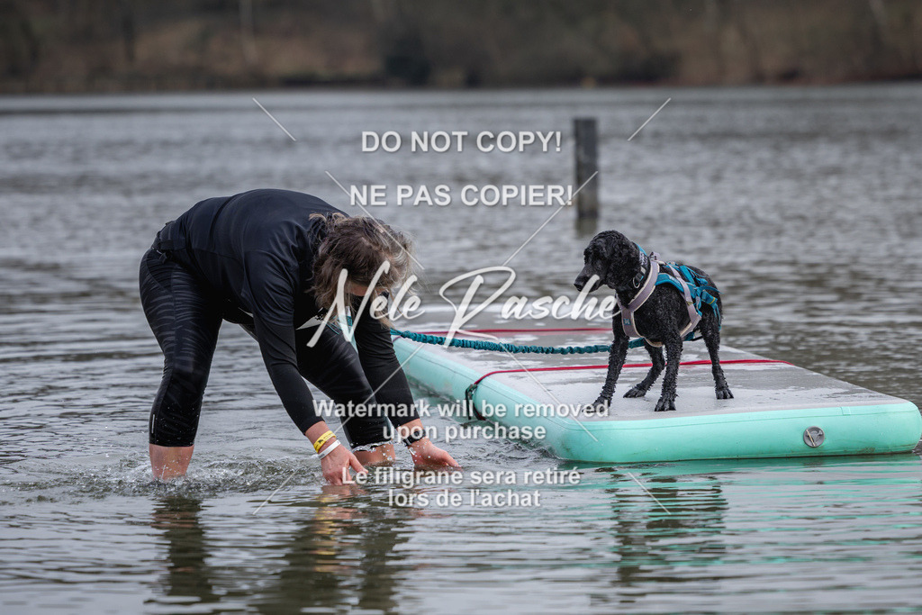nelerasche_Hulsbeek_Sa1600-1700_518 | nelerasche