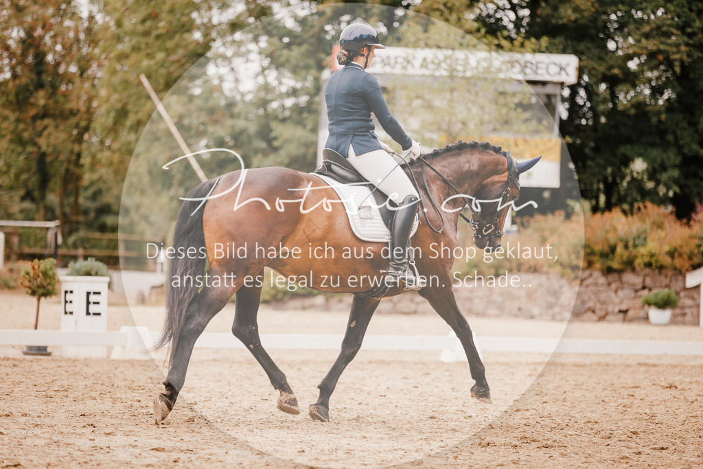 3I6A5965 | Stimmungsvolle Portraits und Reitsportfotografie im Ruhrgebiet und im Münsterland.

Pferdefotografie, Hundefotografie, Tierfotografie, Reportagen, Portraits von Tier und Mensch, Turnierfotografie in Bochum, Recklinghausen, Marl, Haltern am See, Dülmen.. - Realisiert mit Pictrs.com