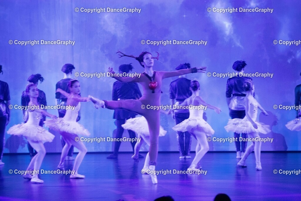 GPHY1756 | DanceGraphy - Realisiert mit Pictrs.com