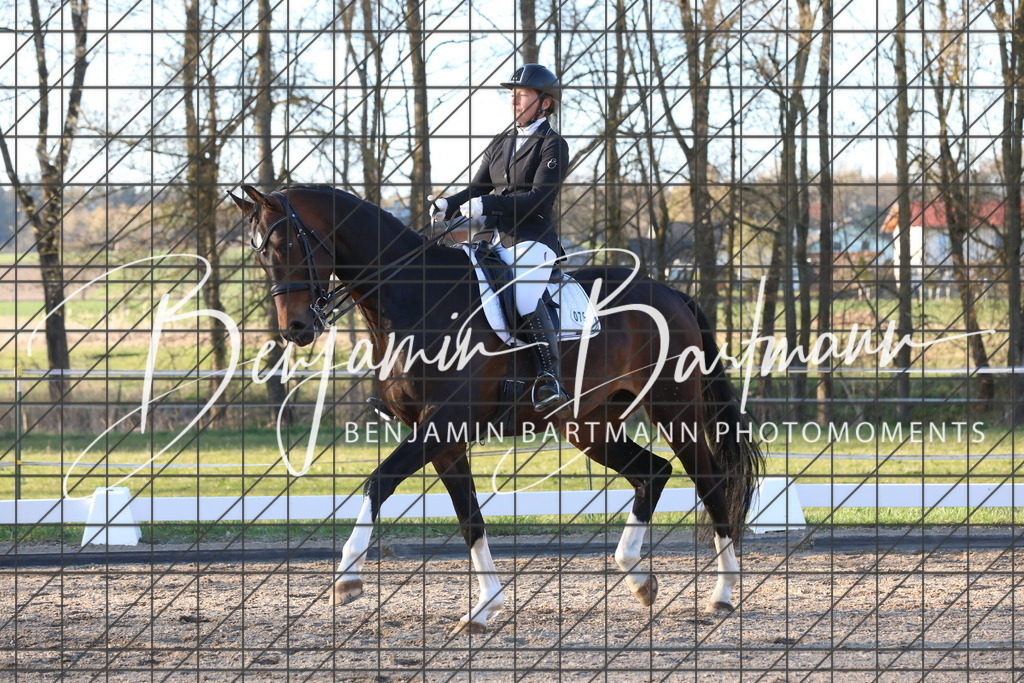 AZ2A7017 | Benjamin Bartmann Photomoments