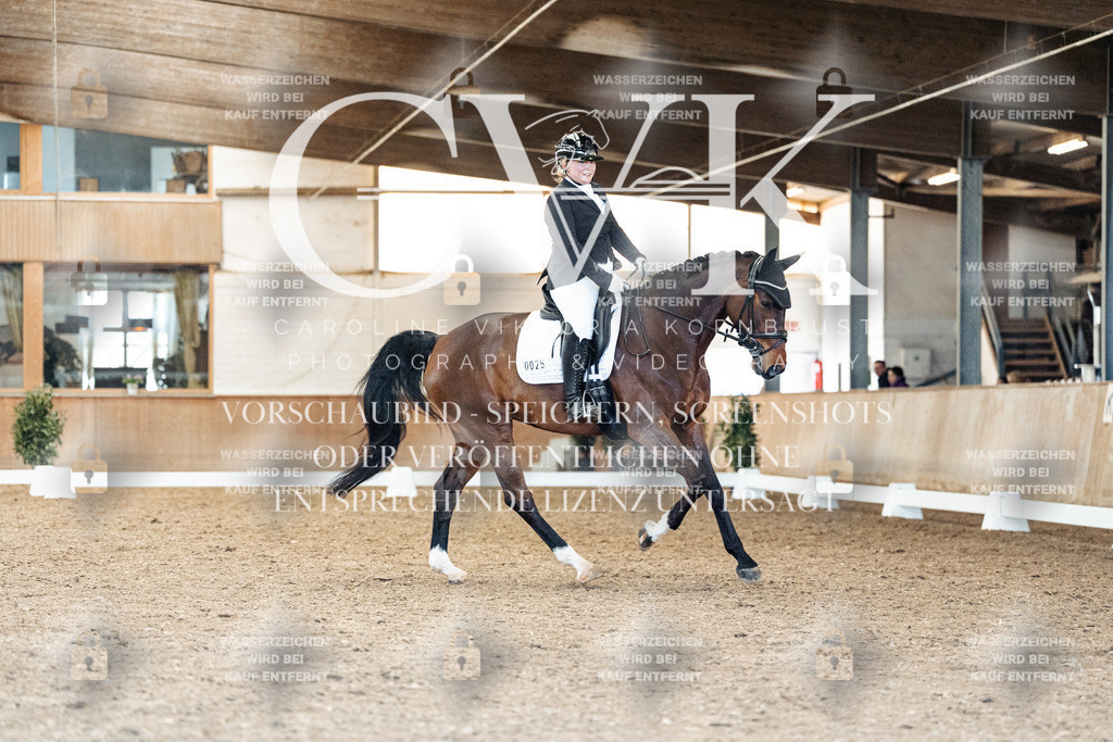 CK909417 | Turnierfotografie Pferdefotografie Trier Rheinland-Pfalz Pferdesport Reitsport Tierfotografie Sportfotografie Pferdevideo Pferdevideografie Equestrianvideography equestrianphotography  - Realisiert mit Pictrs.com