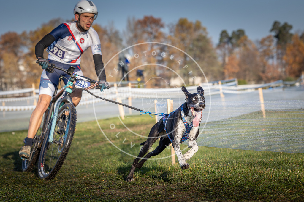 CaniXpix_0L8A3924 | Hundefotografie, Tierfotograf, Pfotenfotografie, Fotoshooting Hund, Hunde Portrait, Hundesport, Hundeportraits, Heideshooting, Hunde, Sportfotograf, Hundefotograf, Turnierhundsport, THS,  - Realisiert mit Pictrs.com
