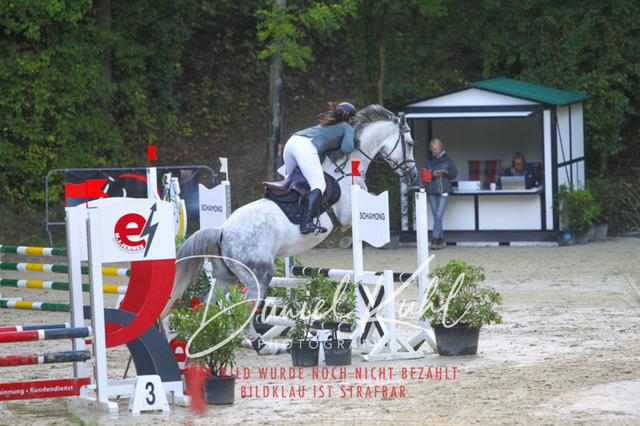 DKP40040 | Turniersportfotografie; Pferdefotografie; Dressurfotografie