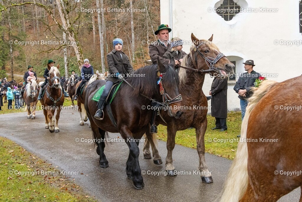 LL25-217 | foto-bettina-krinner - Realisiert mit Pictrs.com