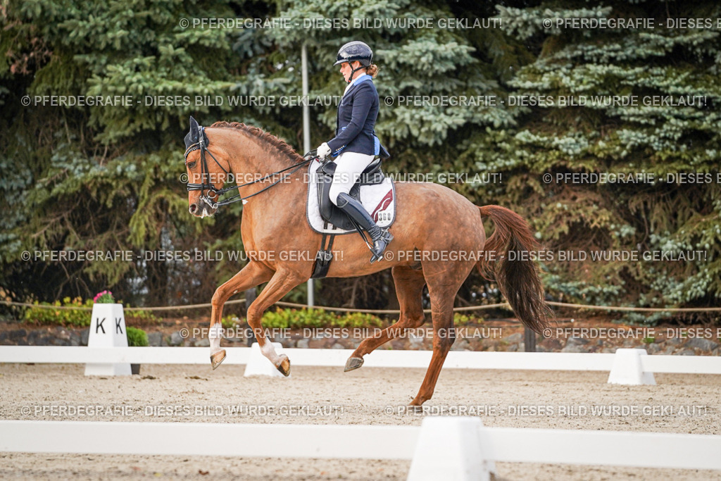 DSC08867 | Pferdegrafie