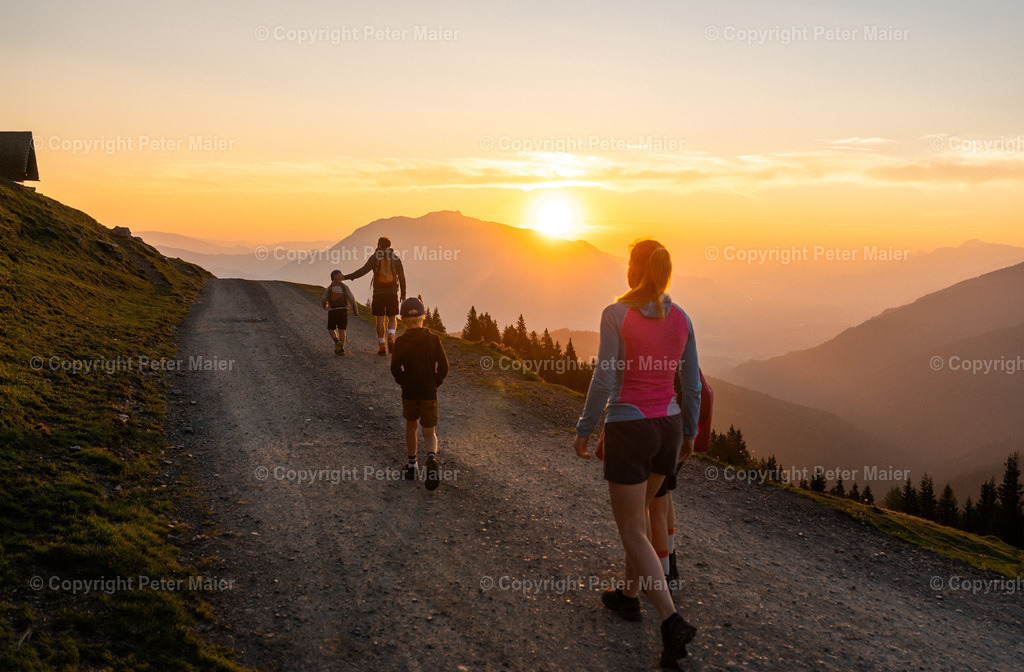 Feistritzer_Alm_2024-354-Bearbeitet | piet_flosse