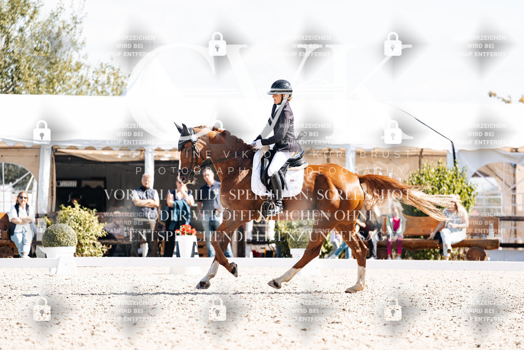 CK902835 | Turnierfotografie Pferdefotografie Trier Rheinland-Pfalz Pferdesport Reitsport Tierfotografie Sportfotografie Pferdevideo Pferdevideografie Equestrianvideography equestrianphotography  - Realisiert mit Pictrs.com
