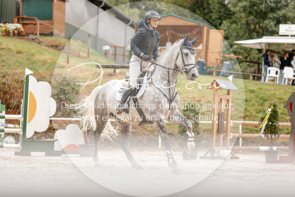 3I6A5934 | Stimmungsvolle Portraits und Reitsportfotografie im Ruhrgebiet und im Münsterland.

Pferdefotografie, Hundefotografie, Tierfotografie, Reportagen, Portraits von Tier und Mensch, Turnierfotografie in Bochum, Recklinghausen, Marl, Haltern am See, Dülmen.. - Realisiert mit Pictrs.com