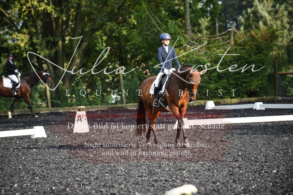 DSC_3349 | Pferde- und Turnierfotografie in Westsachsen. Pferdeportraits, Auftragszeichnungen und intuitive Kunst.