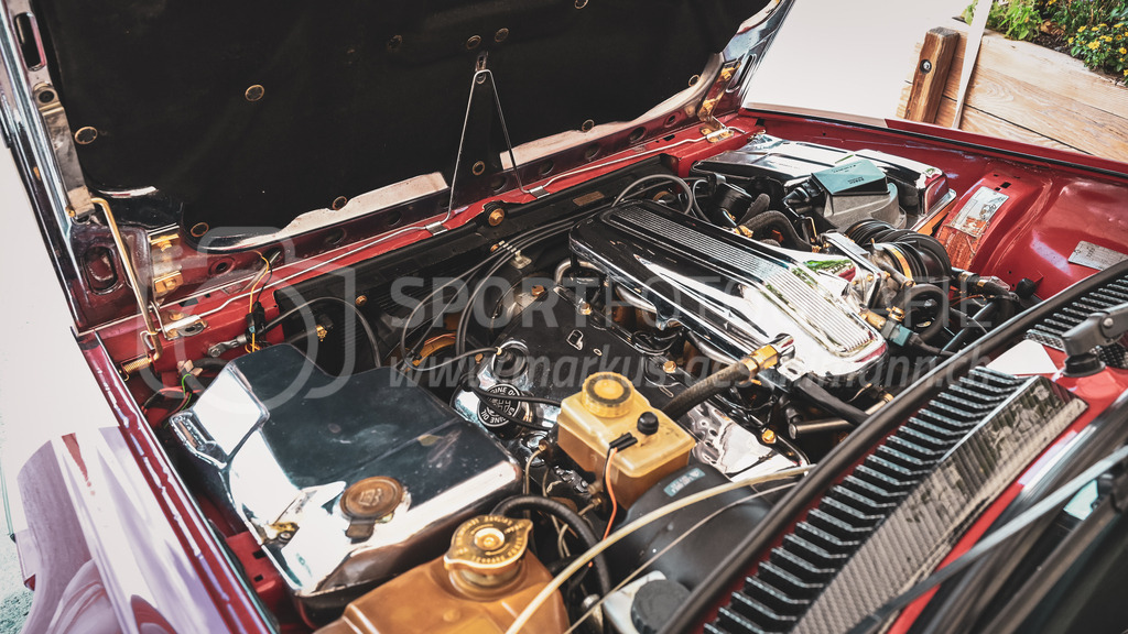 19. Arosa ClassicCar 2023 - 3. September 2023 | 19. Arosa ClassicCar 2023
Arosa, Schweiz
Motor eines Alfa Romeos.
@arosaclassiccar, @arosa.official, #arosaclassiccar, #arosa, #76curves, #classiccar
Bild: Sportfotografie Markus Aeschimann | www.markus-aeschimann.ch - Realisiert mit Pictrs.com