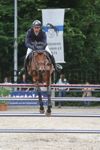 Ichenheim_2024_Prfg.Nr01_Springprfg_Kl.S_m.St._Mohamad Mogheeth Al Shehab_Kyren 2 (7) | Alle Fotos der Reiterjournal Fotografin Doris Matthaes im Reiterjournal Online-Fotoshop. - Realisiert mit Pictrs.com