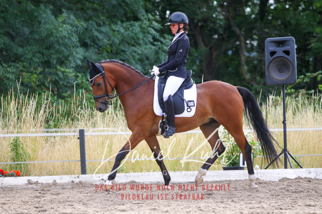 DKP45661 | Turniersportfotografie; Pferdefotografie; Dressurfotografie