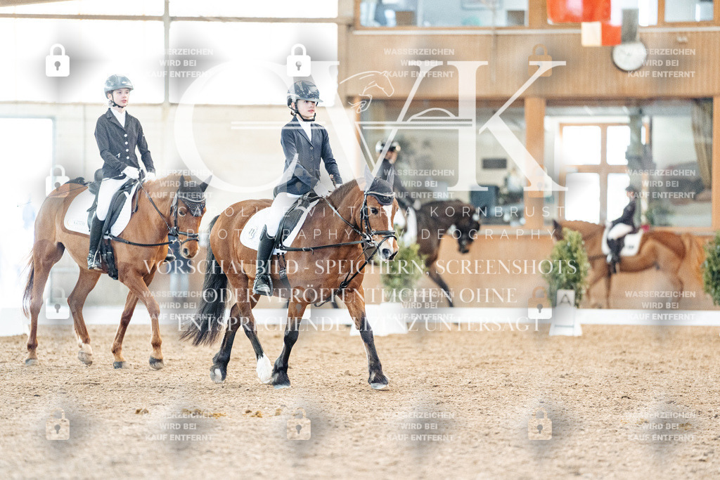 CK907824 | Turnierfotografie Pferdefotografie Trier Rheinland-Pfalz Pferdesport Reitsport Tierfotografie Sportfotografie Pferdevideo Pferdevideografie Equestrianvideography equestrianphotography  - Realisiert mit Pictrs.com