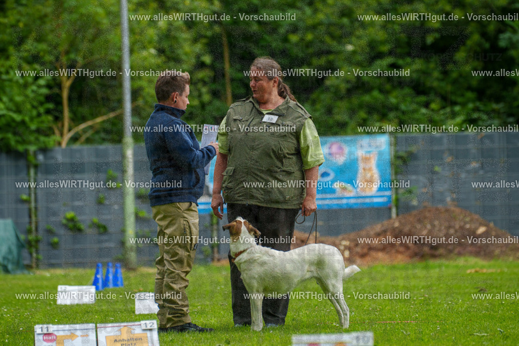 @allesWIRTHgut_Tierfotografie - www.allesWIRTHgut.de - 123243-7R509081 | Professionelle Tierfotografie in Mönchengladbach von Daniel Wirth (allesWIRTHgut). Liebevolle & natürliche Bilder von Hunden & Katzen für unvergessliche Erinnerungen.