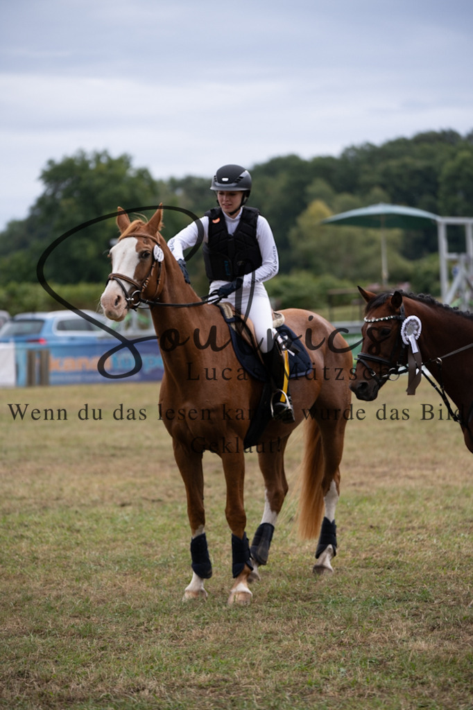 A7V00353 | Pferdefotograf