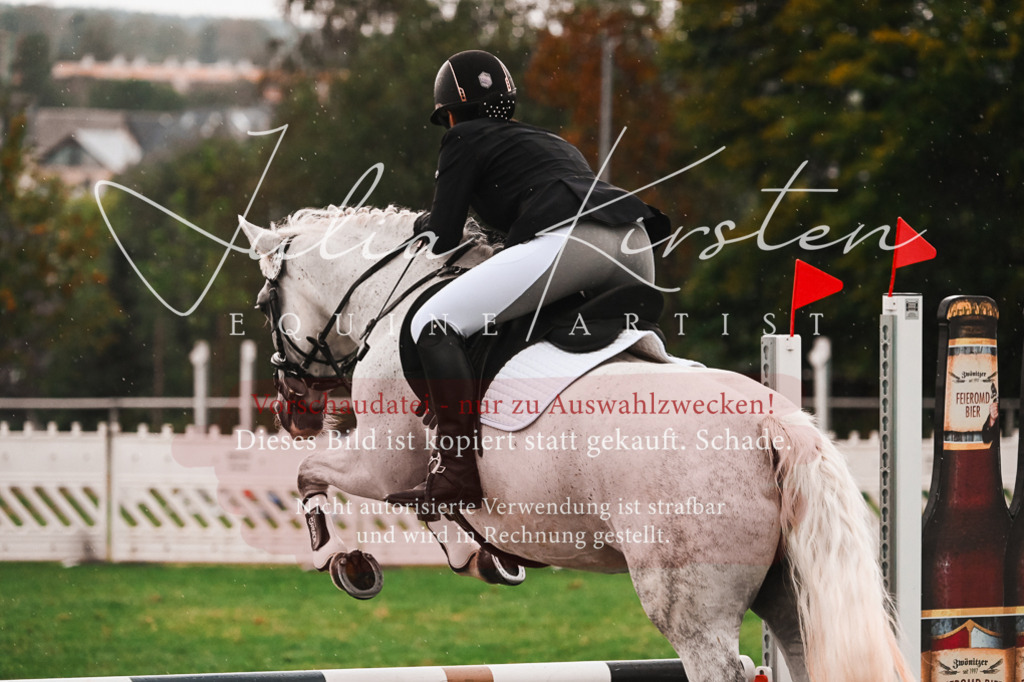 DSC_6193 | Pferde- und Turnierfotografie in Westsachsen. Pferdeportraits, Auftragszeichnungen und intuitive Kunst.