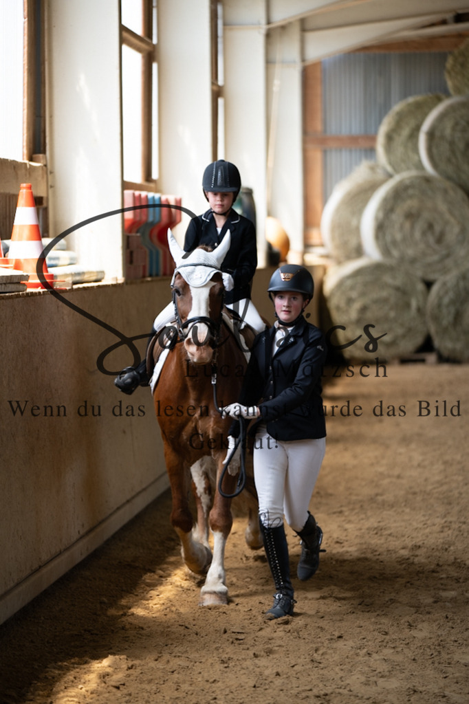 A7V08279 | Pferdefotograf