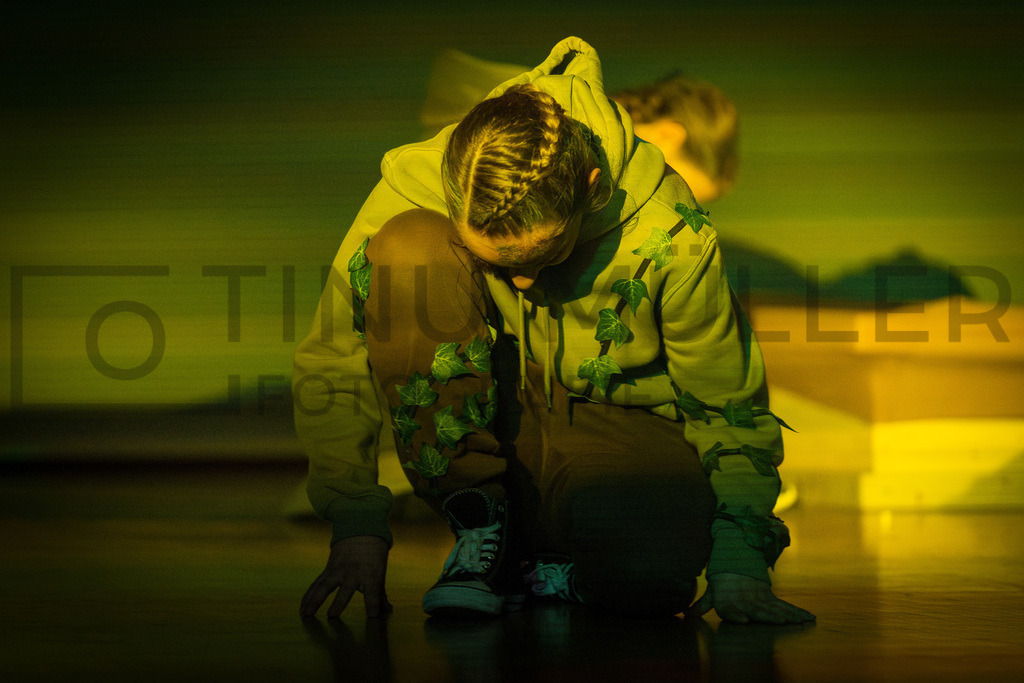 DSC05257-Verbessert-RR | Tinu Müller Fotografie- Bildershop - Realisiert mit Pictrs.com